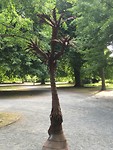 Kunst boom