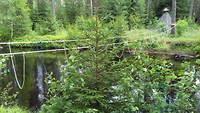 IMG-20190708-WA0015
