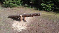 IMG-20190705-WA0014