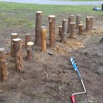 IMG-20190626-WA0008