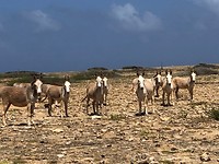 IMG_4788