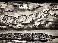 IMG_2541