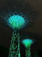 IMG_2652