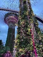 IMG_2640