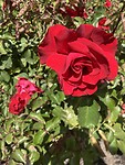 IMG_2750
