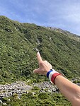 IMG_2877