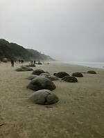 IMG_2956