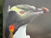 IMG_3018
