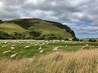 IMG_3129