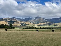 IMG_3146