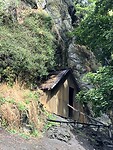 IMG_3330
