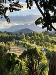 IMG_3340