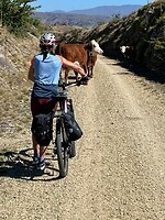 IMG_3425