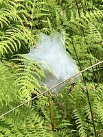 IMG_3777