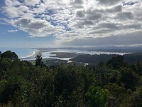 IMG_3810