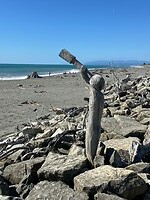 IMG_3825