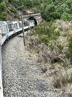 IMG_3920