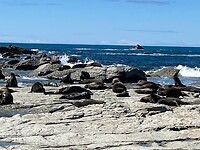 IMG_4063