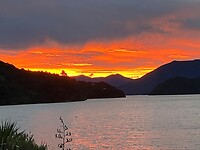 IMG_4206