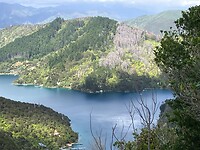 IMG_4223