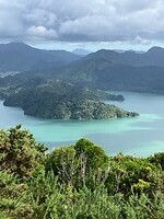 IMG_4217