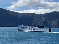 IMG_4359