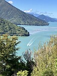 IMG_4262