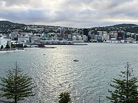 IMG_4377