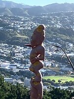 IMG_4431
