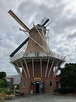 IMG_4443