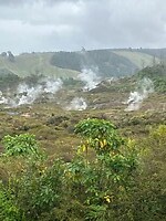 IMG_4532