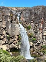 IMG_4577