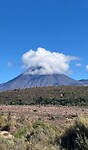IMG_4650