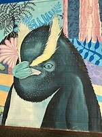 IMG_4749