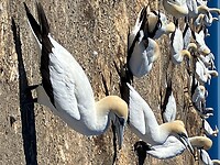 IMG_4853