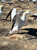IMG_4867