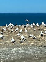 IMG_4904