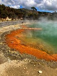 IMG_5061