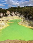 IMG_5056