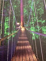 IMG_5125