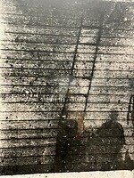 IMG_9614