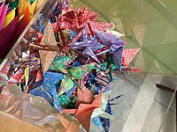 IMG_9636