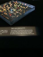 IMG_9844