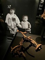 IMG_9810