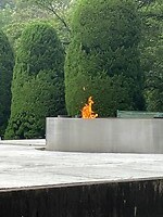 IMG_9766