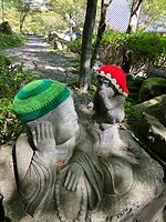 IMG_9978