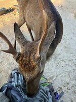 IMG_0024