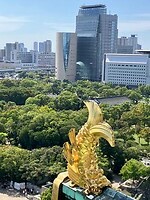 IMG_0168