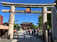 IMG_0270
