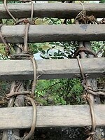 IMG_0482